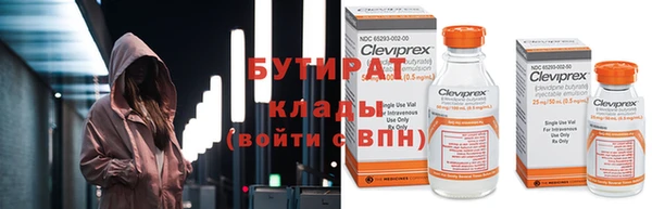 прущие грибы Коряжма
