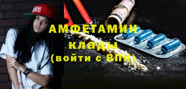прущие грибы Коряжма