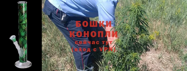 соль ск Краснослободск