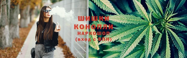 соль ск Краснослободск