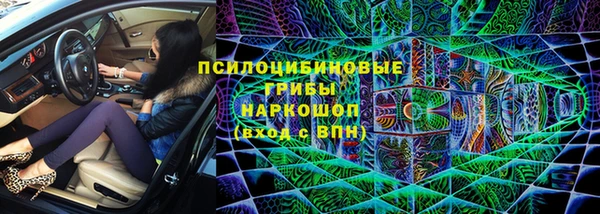 соль ск Краснослободск